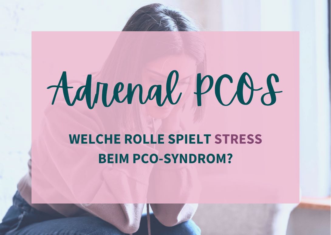 Adrenal PCOS Verursacht Stress PCO? • PCOSlife
